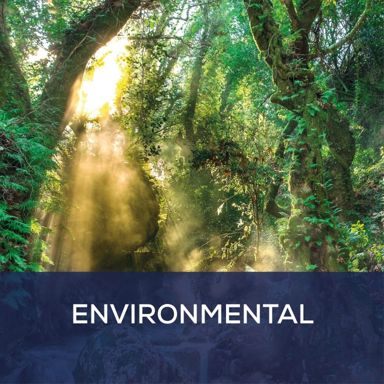 Environmental Monitoring and Sustainable Development